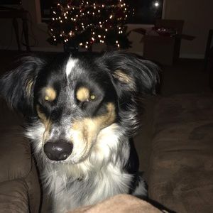 Meet your Posher, James